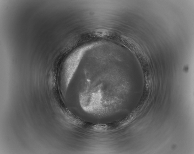 X0000097630606200803211811