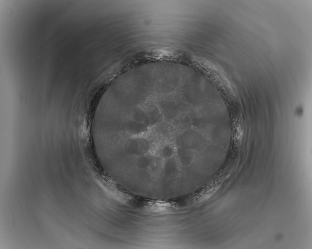 X0000097630607200803211811