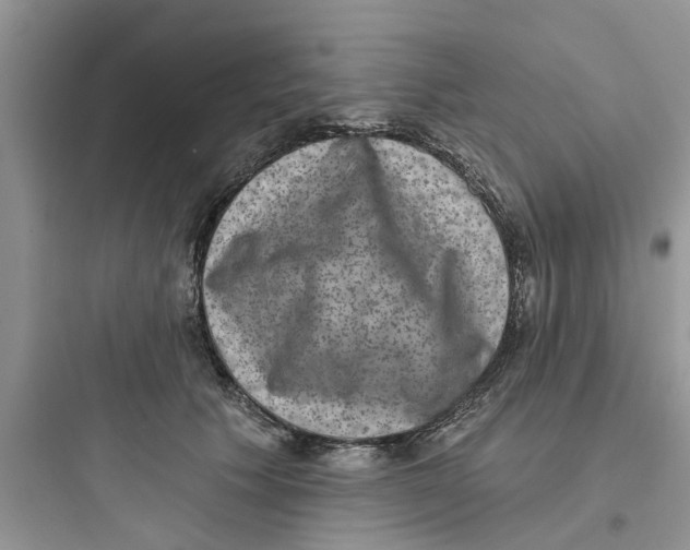 X0000097630609200803211811