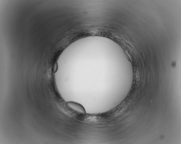 X0000097630611200803211811