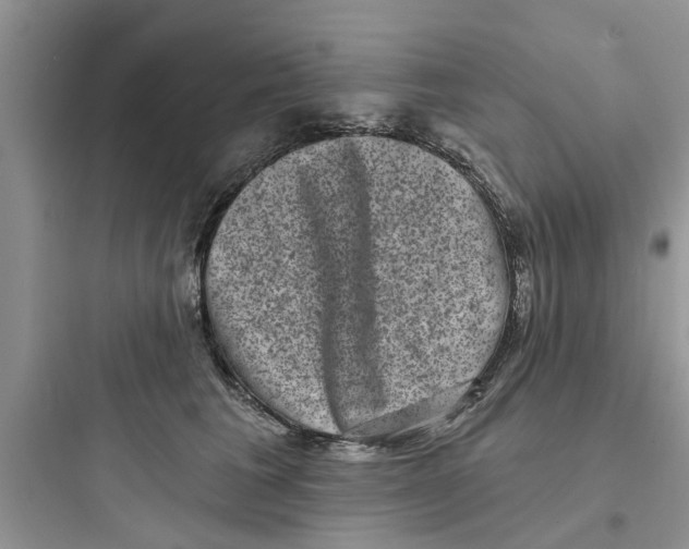 X0000097630613200803211811