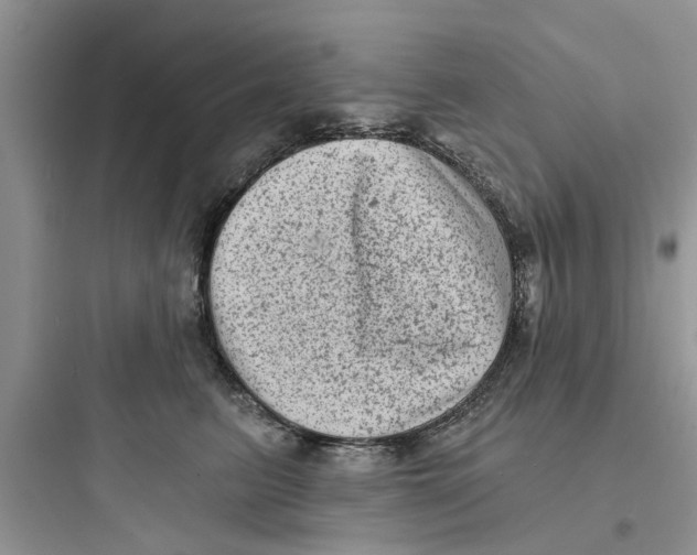 X0000097630615200803211811