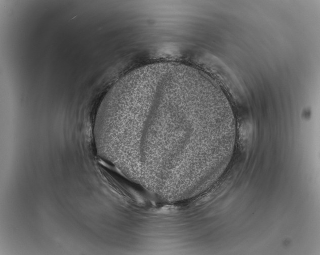 X0000097630617200803211811