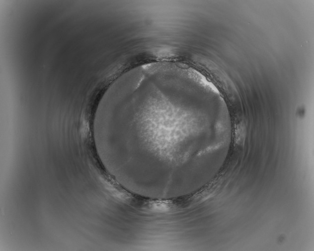 X0000097630618200803211811