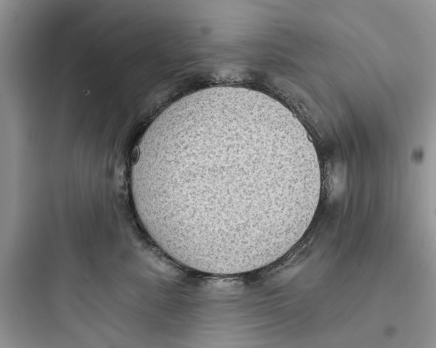 X0000097630619200803211811