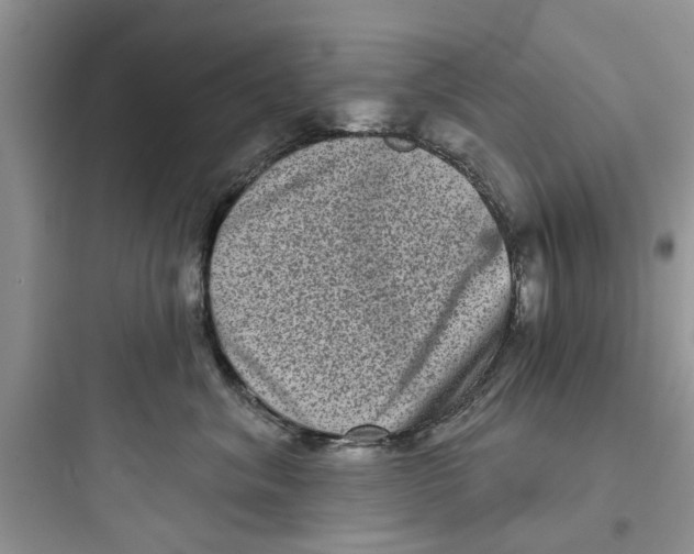 X0000097630620200803211811