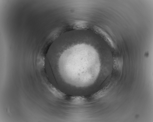 X0000097630621200803211811