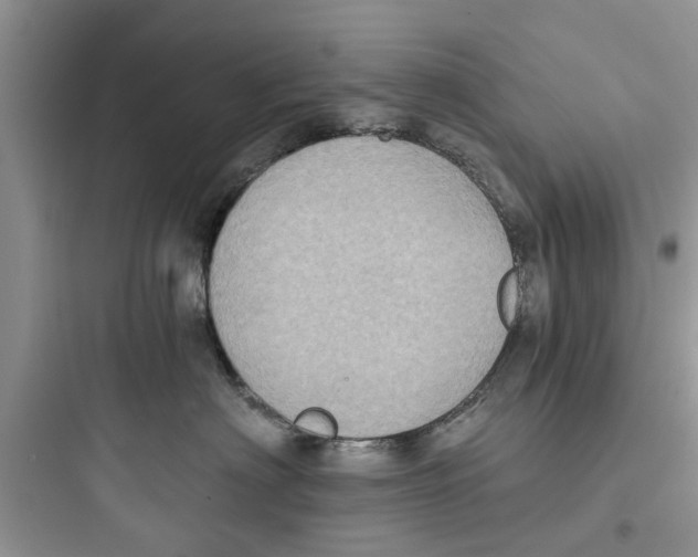 X0000097630622200803211811