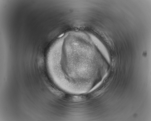 X0000097630623200803211811