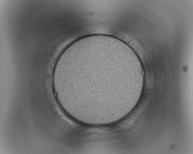 X0000097630625200803211810