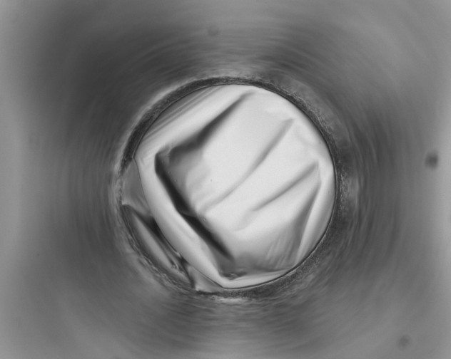 X0000097630628200803211810