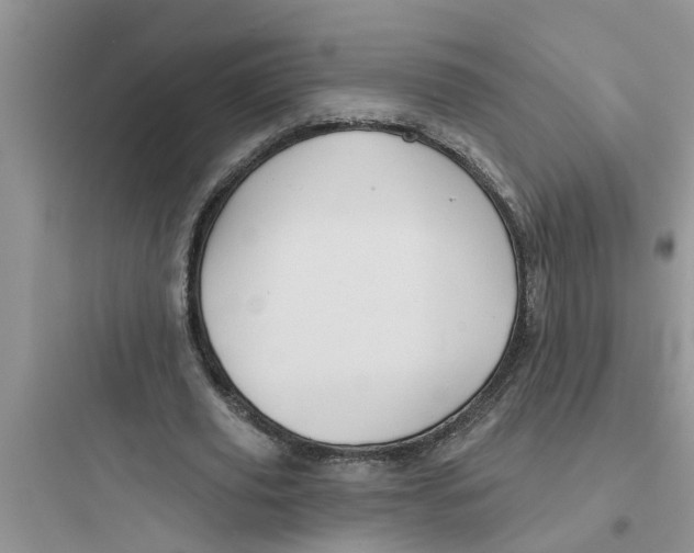 X0000097630629200803211810