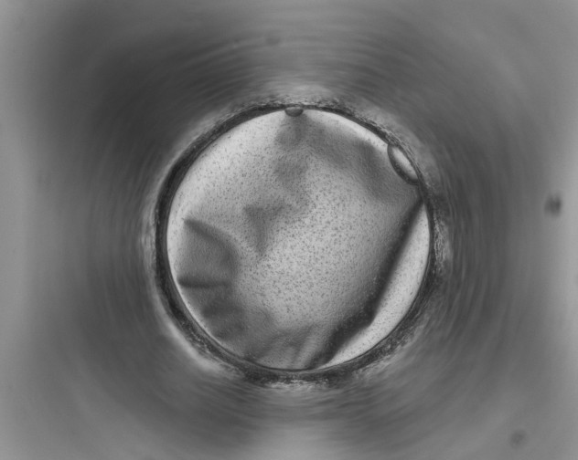 X0000097630630200803211810