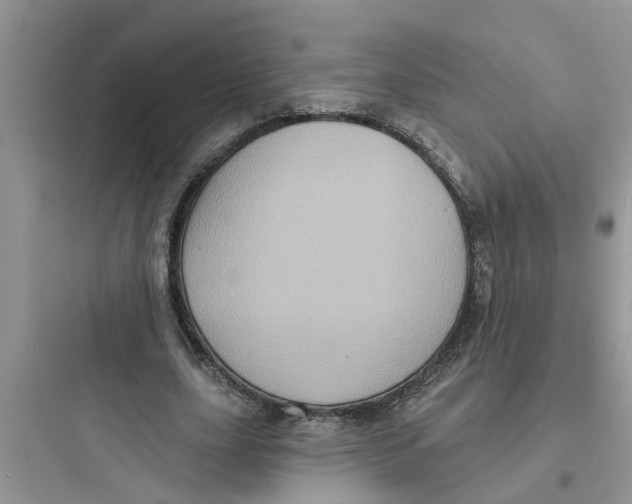 X0000097630631200803211810