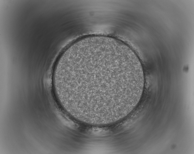 X0000097630632200803211810