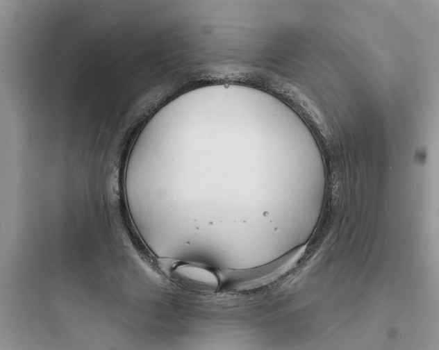 X0000097630633200803211810