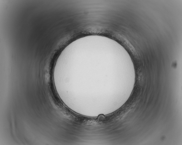 X0000097630635200803211810