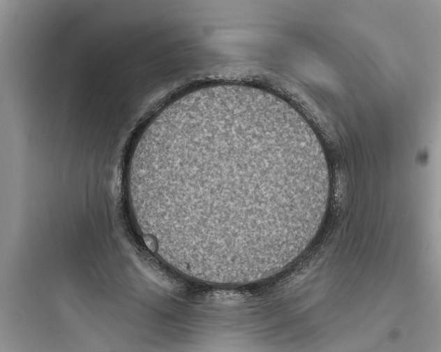 X0000097630636200803211810