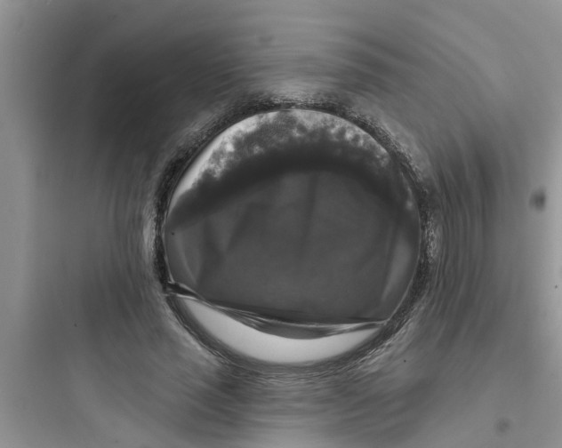 X0000097630637200803211810