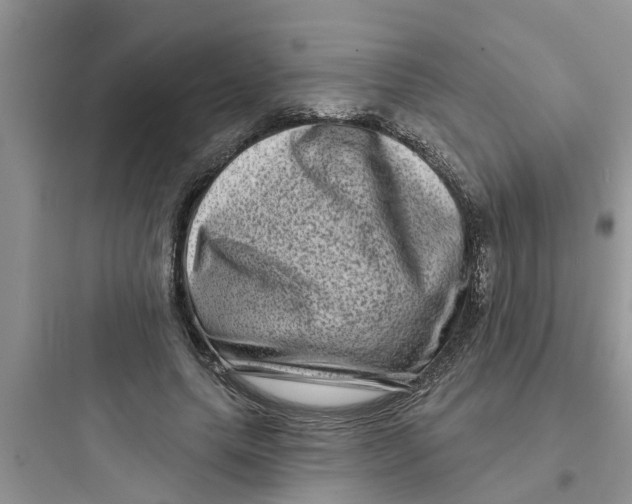 X0000097630639200803211810