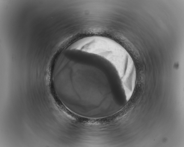 X0000097630640200803211810