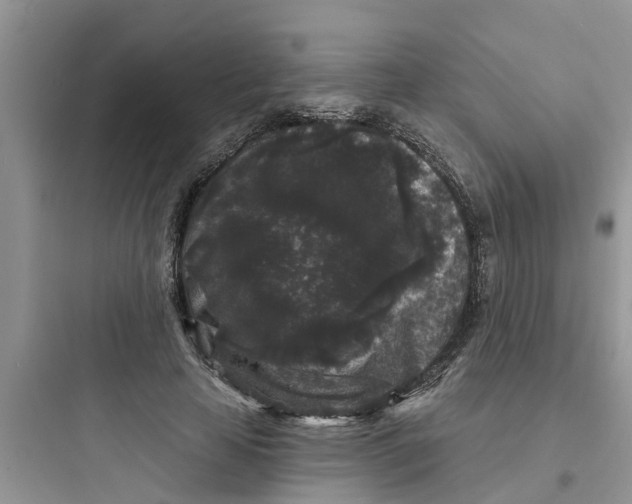 X0000097630641200803211810