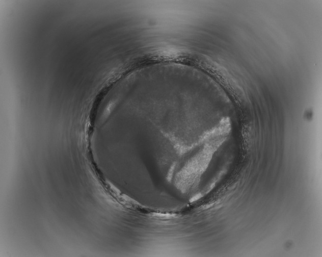 X0000097630642200803211810