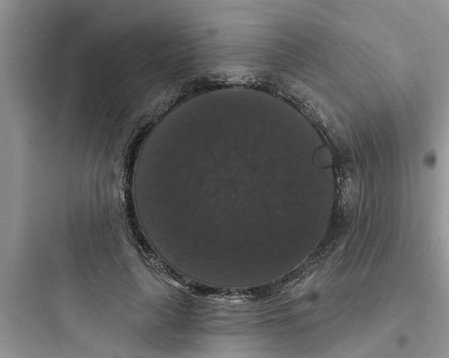 X0000097630643200803211810