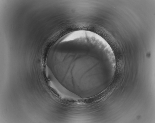 X0000097630644200803211810