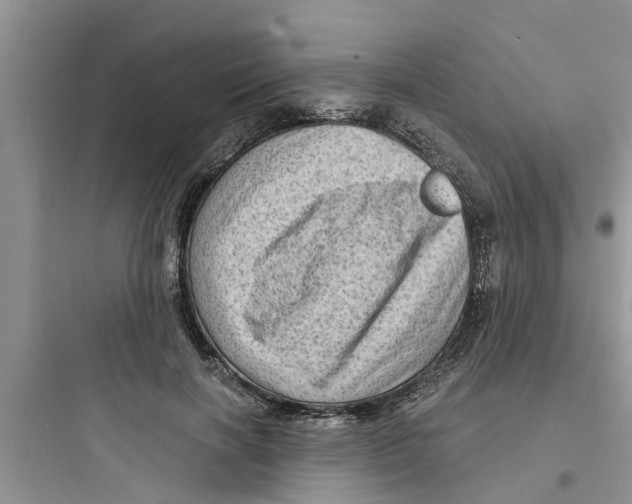 X0000097630646200803211810