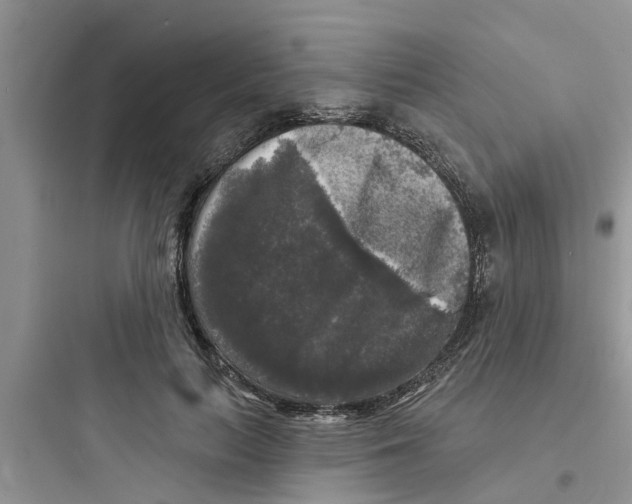 X0000097630647200803211810