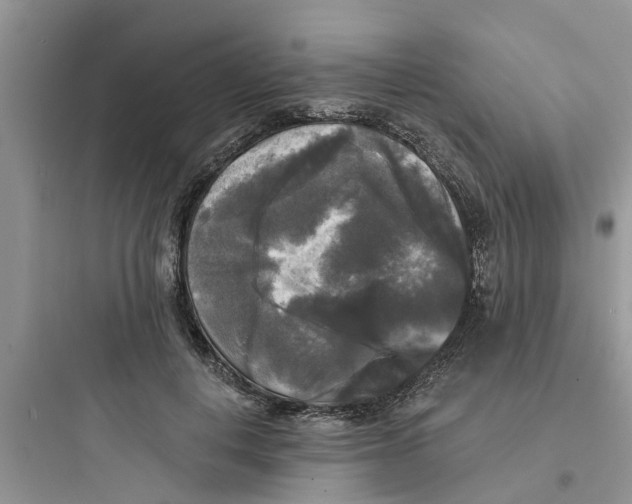 X0000097630648200803211810