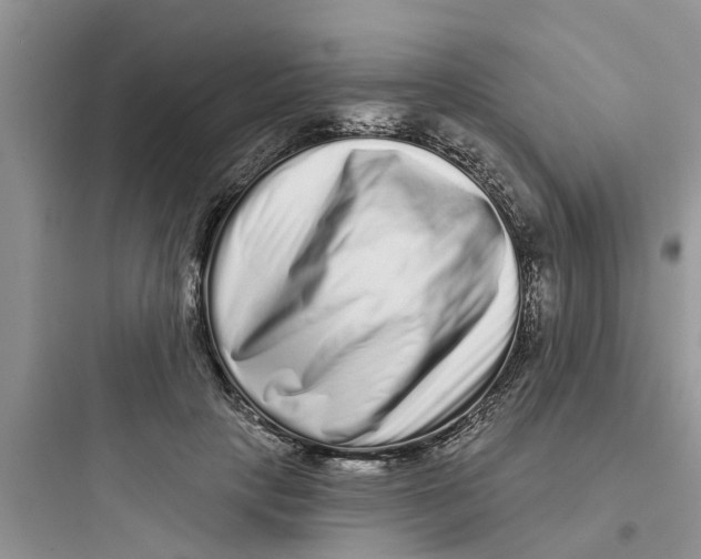 X0000097630649200803211810