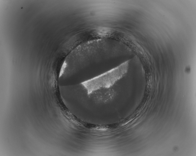 X0000097630651200803211811