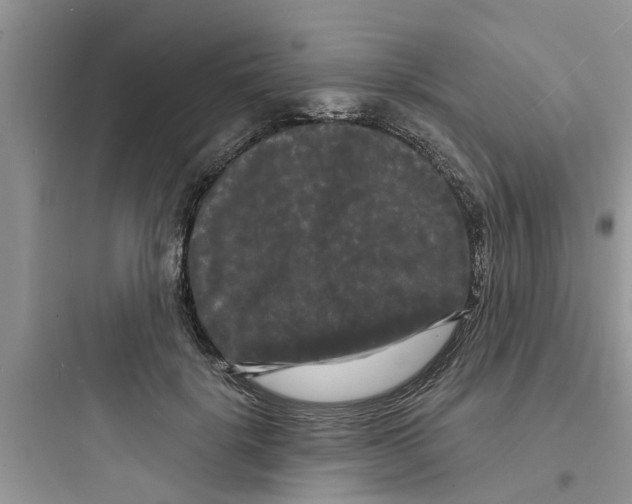 X0000097630652200803211811