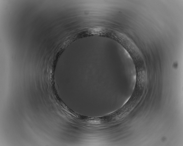 X0000097630653200803211811