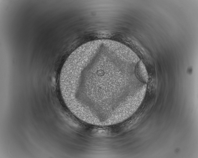 X0000097630655200803211811