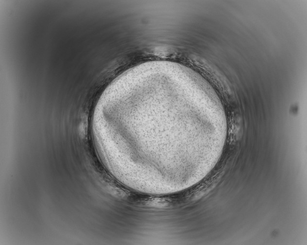 X0000097630656200803211811