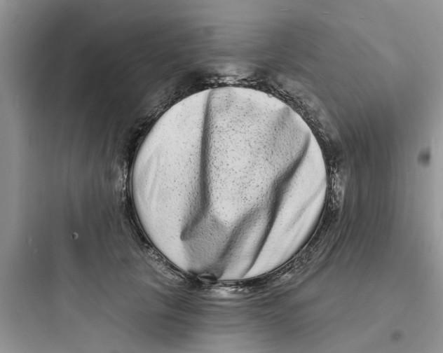 X0000097630657200803211811