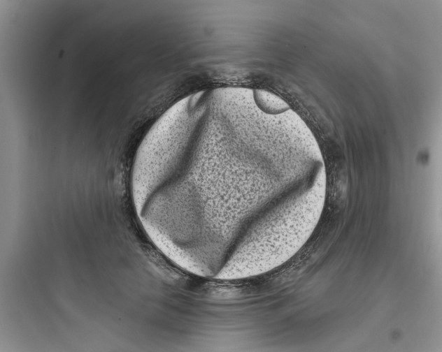 X0000097630658200803211811