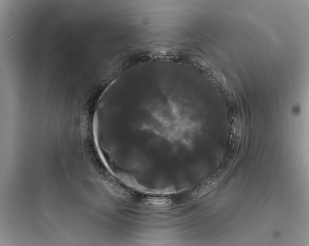 X0000097630659200803211811