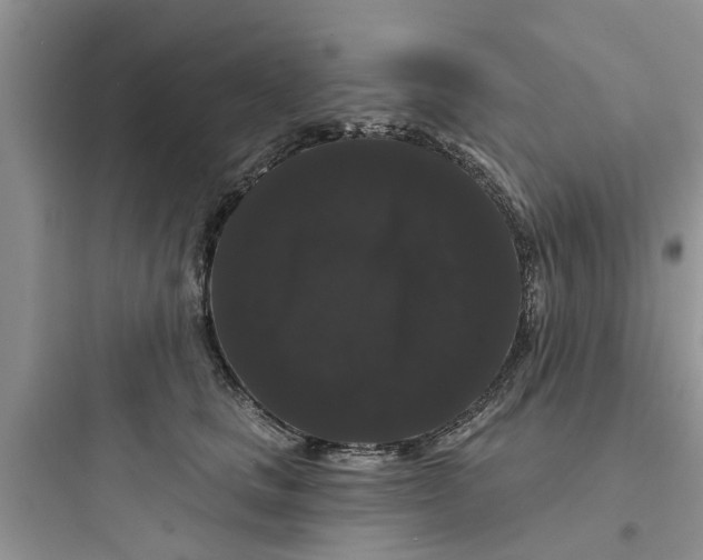 X0000097630661200803211811