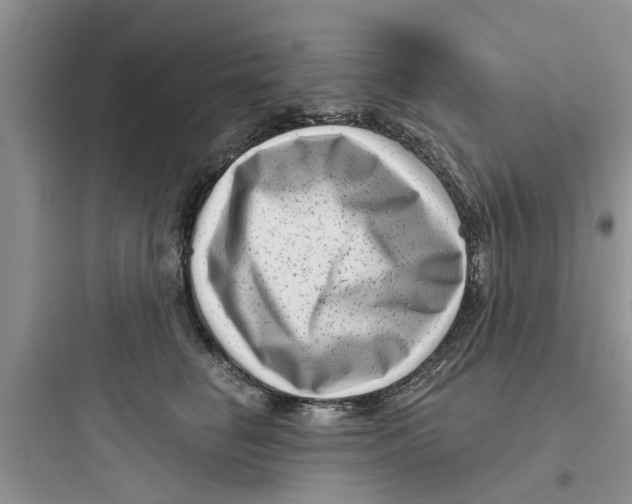 X0000097630662200803211811