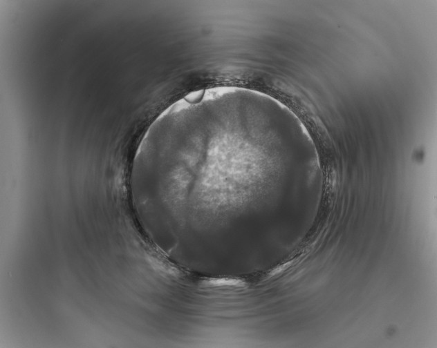 X0000097630663200803211811