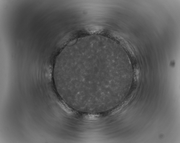 X0000097630664200803211811