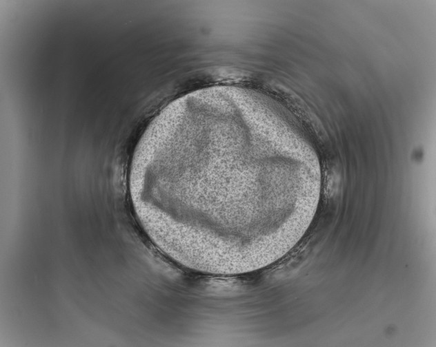 X0000097630666200803211811