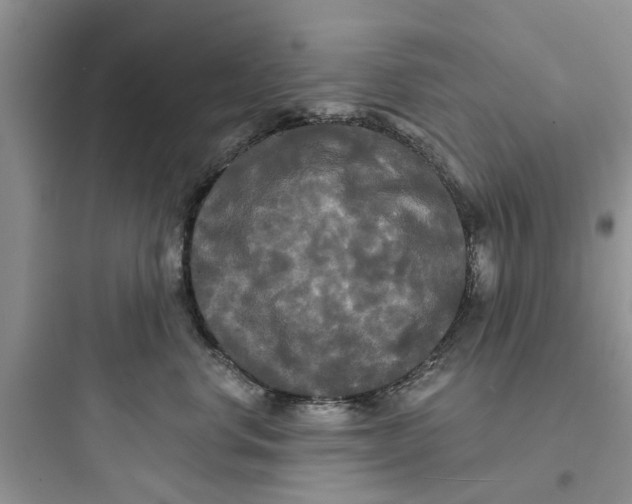 X0000097630668200803211811