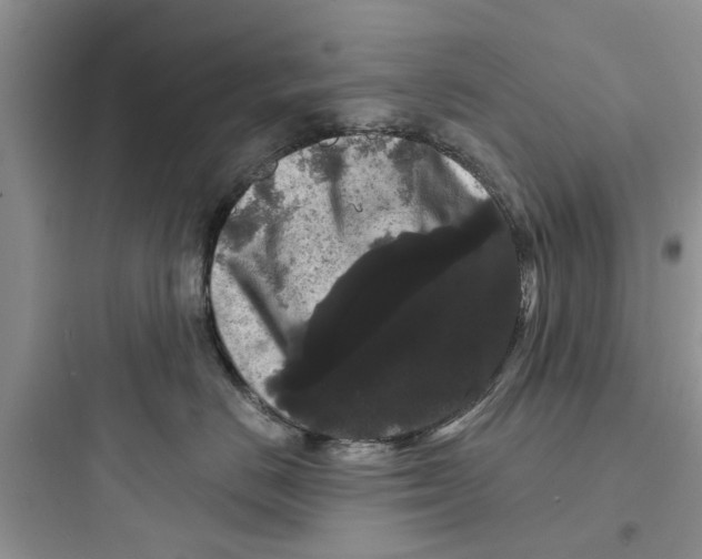 X0000097630670200803211811