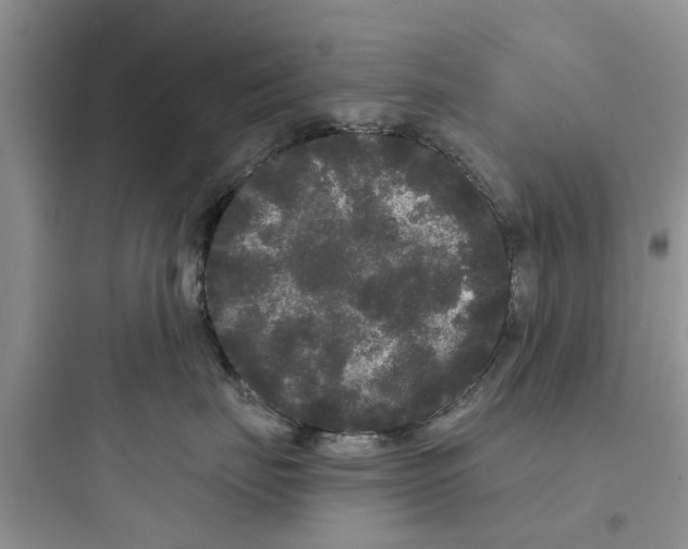 X0000097630671200803211811