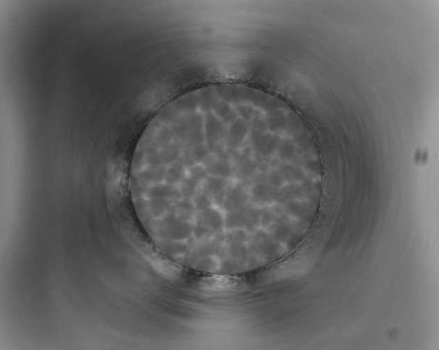 X0000097630672200803211811